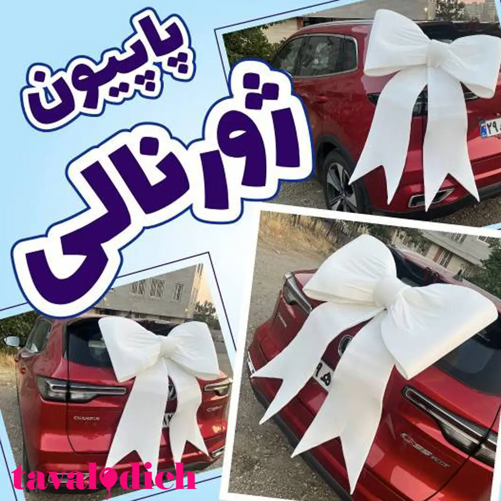 پاپیون ژورنالی ماشین